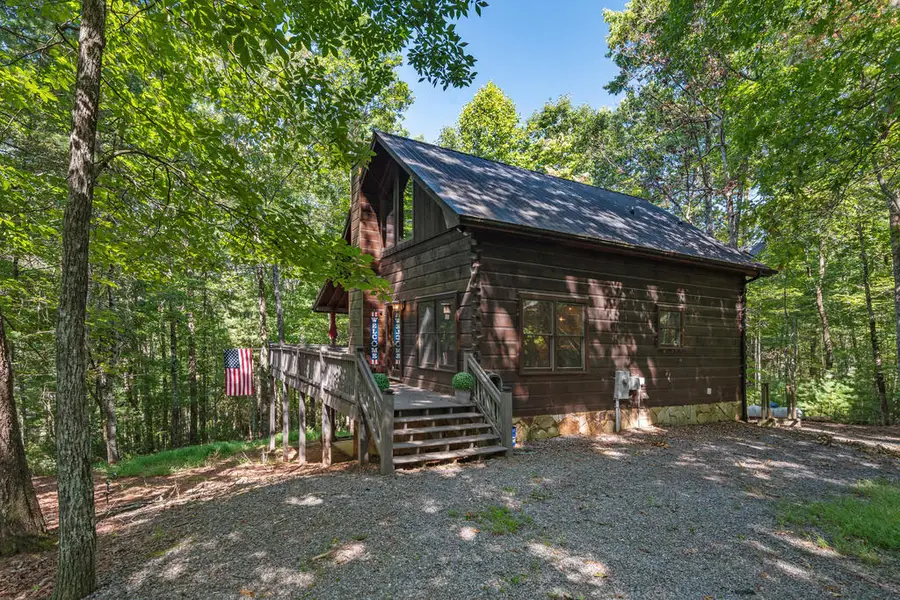 63 Bushy Head Road, Cherry Log, GA 30522 - #3