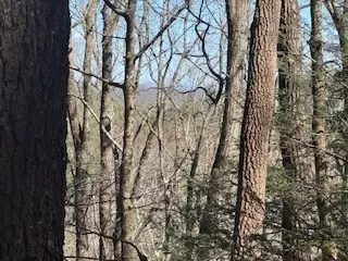 Lot 14 Butler Creek Road, Cherry Log, GA 30522 - #3