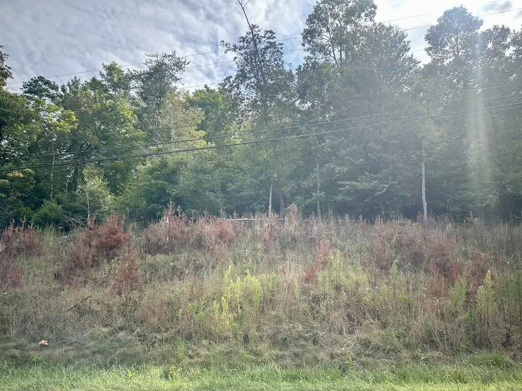 Lot 3 Old Hwy 64, Brasstown, NC 28902 - #1