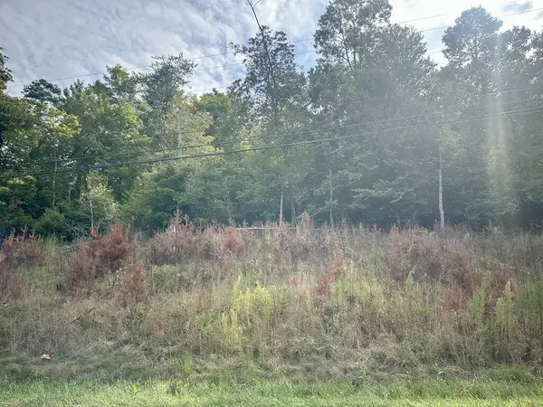 Lot 3 Lo Old Hwy 64, Brasstown, NC 28902