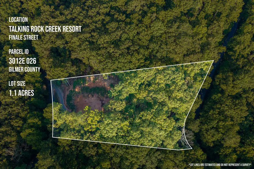 Lot 1905 Finale Street, Talking Rock, GA 30175 - #1