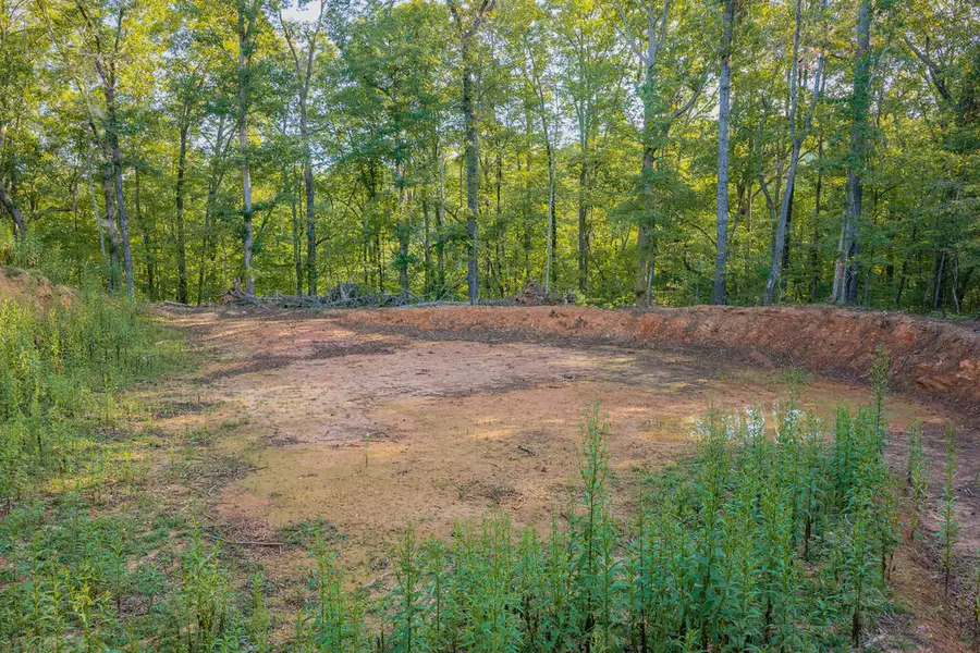 Lot 1905 Finale Street, Talking Rock, GA 30175 - #2
