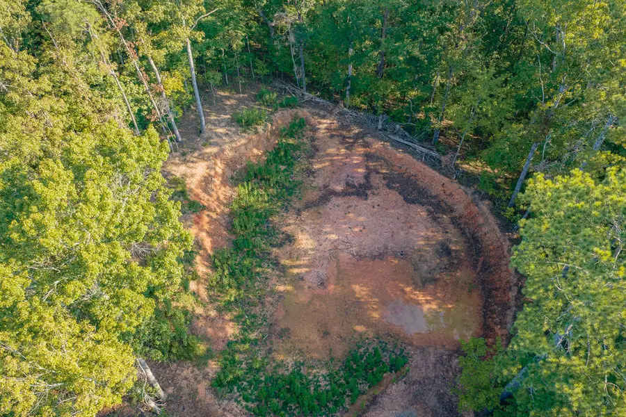 Lot 1905 Finale Street, Talking Rock, GA 30175 - #3
