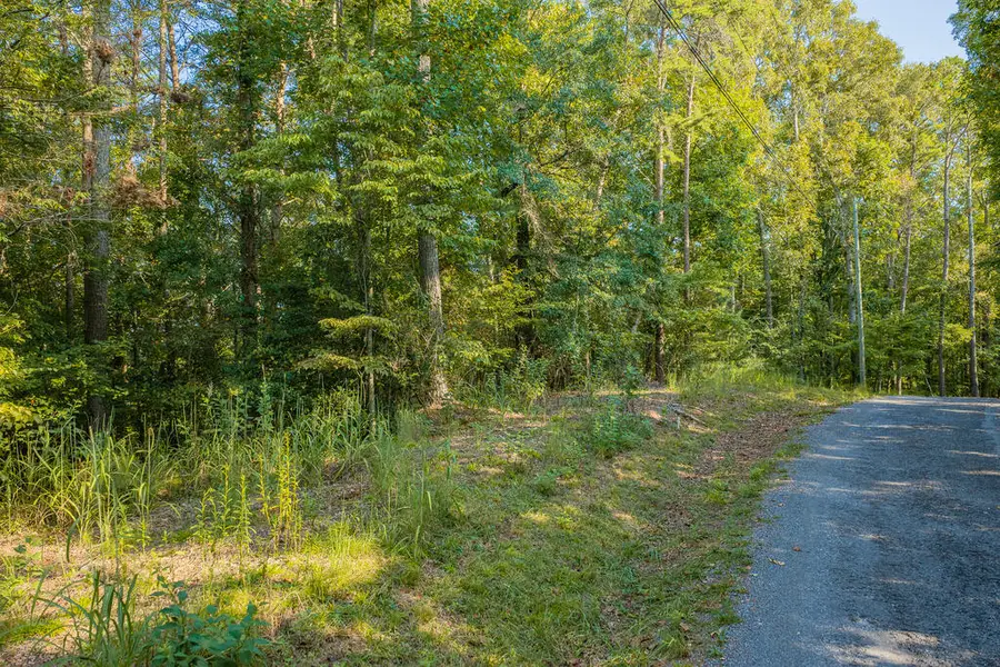 Lot 1709 Rebekah Ridge Road, Talking Rock, GA 30175 - #3