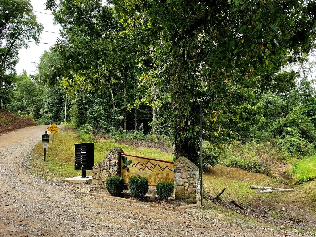 L32 Chestnut Flats Road, Andrews, NC 28901 - #1