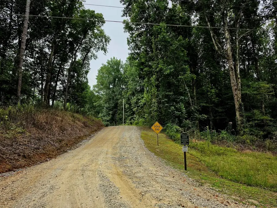 L32 Chestnut Flats Road, Andrews, NC 28901 - #2