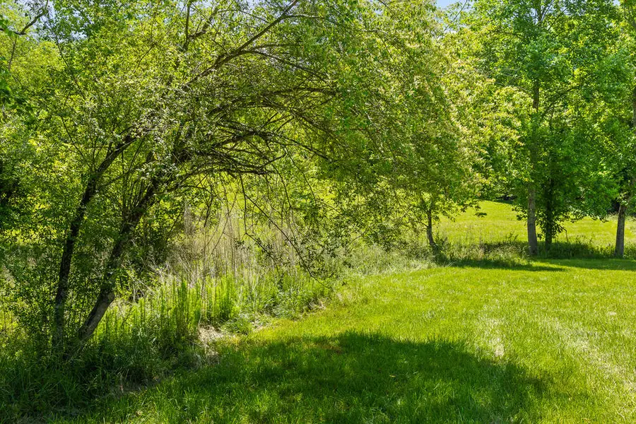 Lot 11 Squirrel Hunting Road, Morganton, GA 30560 - #2