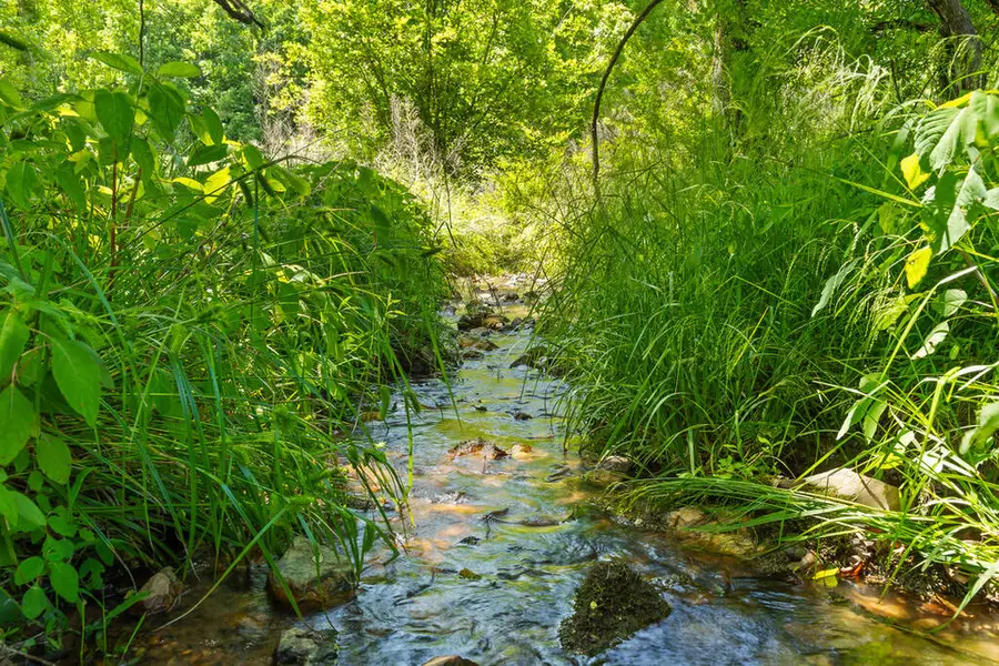 Lot 11 Squirrel Hunting Road, Morganton, GA 30560 - #3