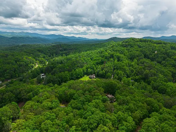 Tract 1 Century Lane, Blue Ridge, GA 30513