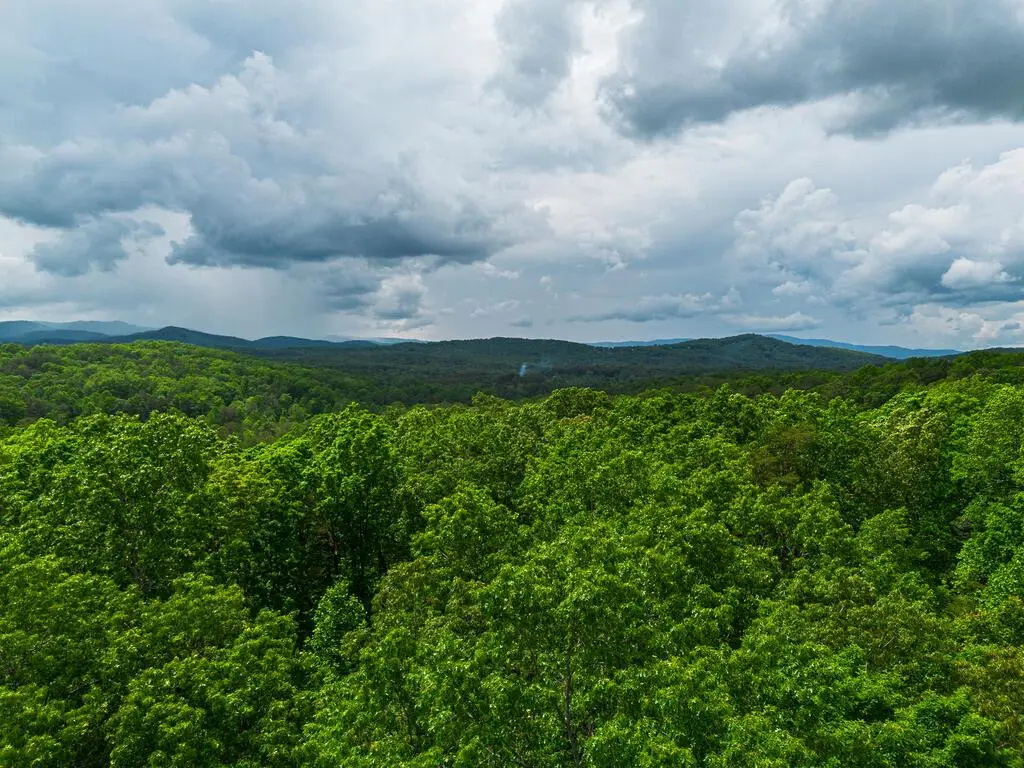 Tract 2 Century Lane, Blue Ridge, GA 30513 - #1