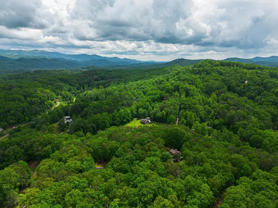 Tract 2 Century Lane, Blue Ridge, GA 30513 - #2