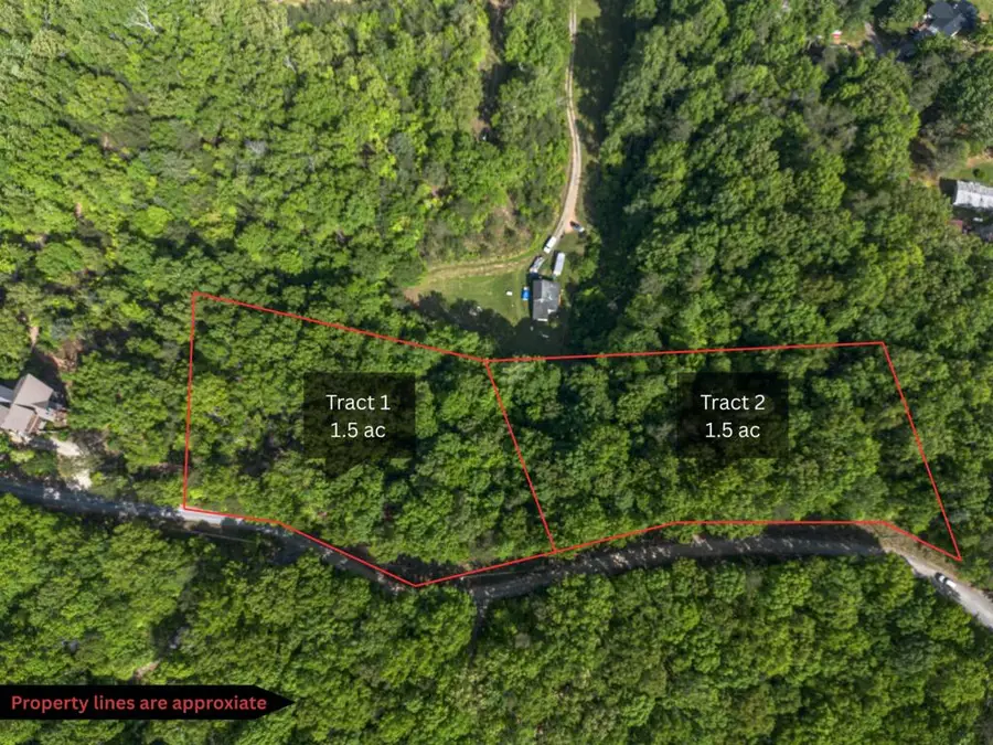 Tract 2 Century Lane, Blue Ridge, GA 30513 - #3