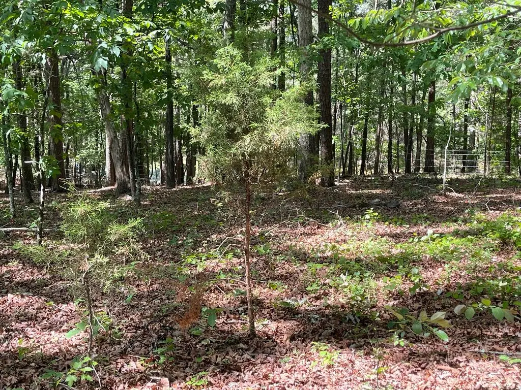 TRACT 2 Chalcrest Way, Cave Spring, GA 30124 - #1