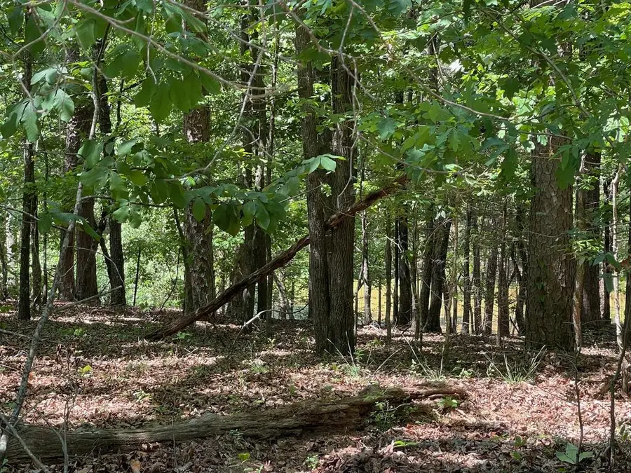 TRACT 2 Chalcrest Way, Cave Spring, GA 30124 - #2
