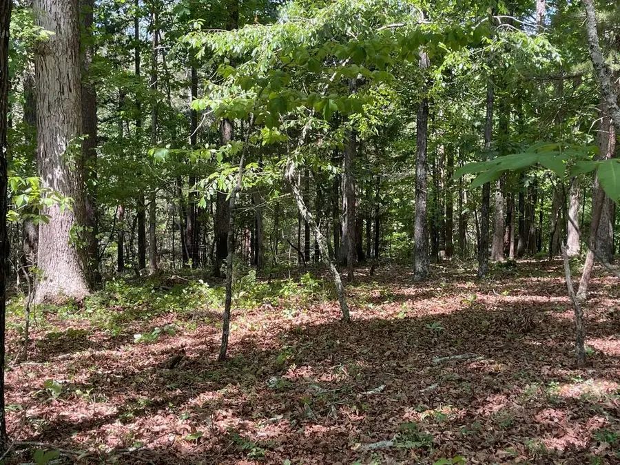 TRACT 2 Chalcrest Way, Cave Spring, GA 30124 - #3