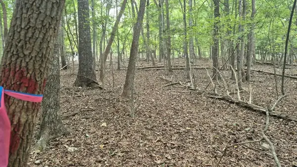 .57 Ac. Villa Drive, Ellijay, GA 30540