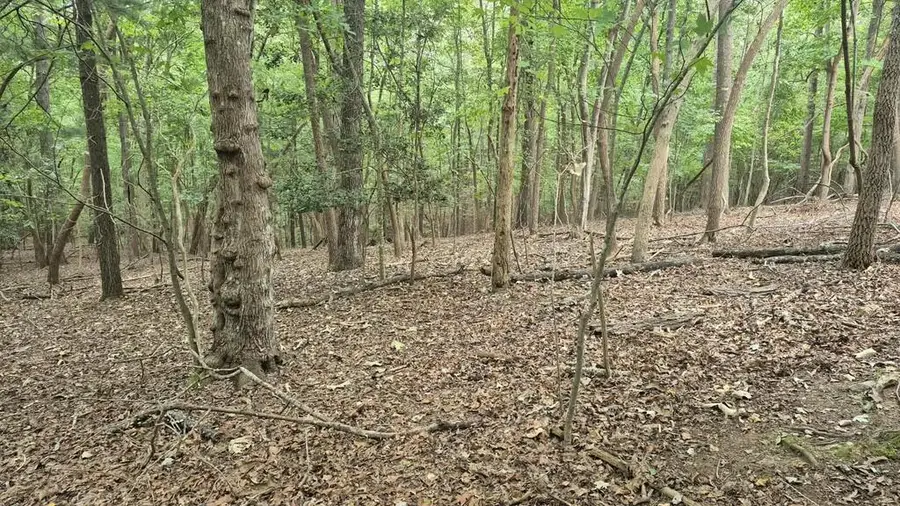 .57 Ac. Villa Drive, Ellijay, GA 30540 - #2