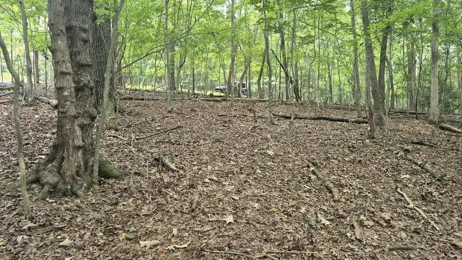 .57 Ac. Villa Drive, Ellijay, GA 30540 - #3