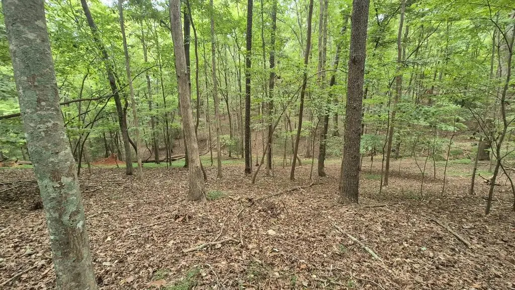 .39 Ac. Villa Drive, Ellijay, GA 30540 - #1