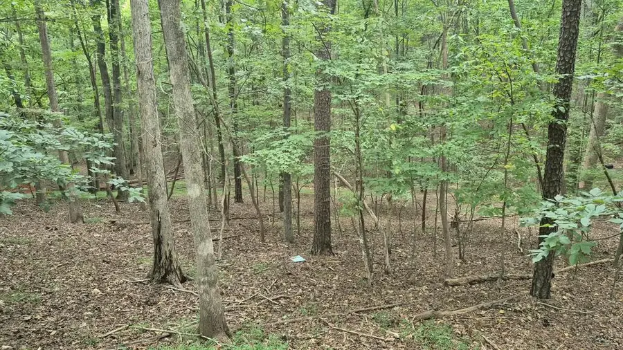 .39 Ac. Villa Drive, Ellijay, GA 30540 - #2