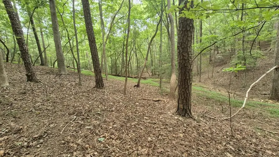 .39 Ac. Villa Drive, Ellijay, GA 30540 - #3