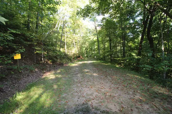 Lot 20 U Been Around The Circle, Hayesville, GA 28904