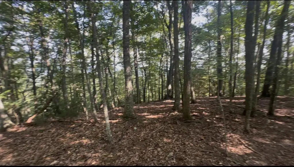 0 Brooks Ridge Road, Mineral Bluff, GA 30559 - #1