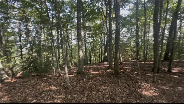 0 Brooks Ridge Road, Mineral Bluff, GA 30559