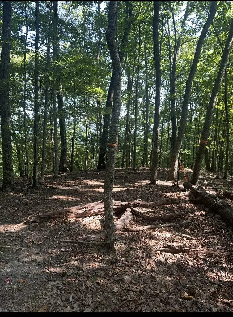 0 Brooks Ridge Road, Mineral Bluff, GA 30559 - #2