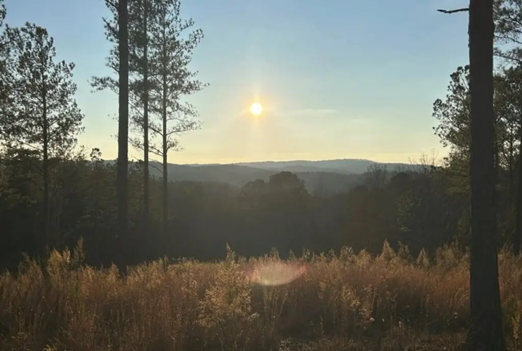 Lot 80 Seven Mile Creek Road, Talking Rock, GA 30175 - #1
