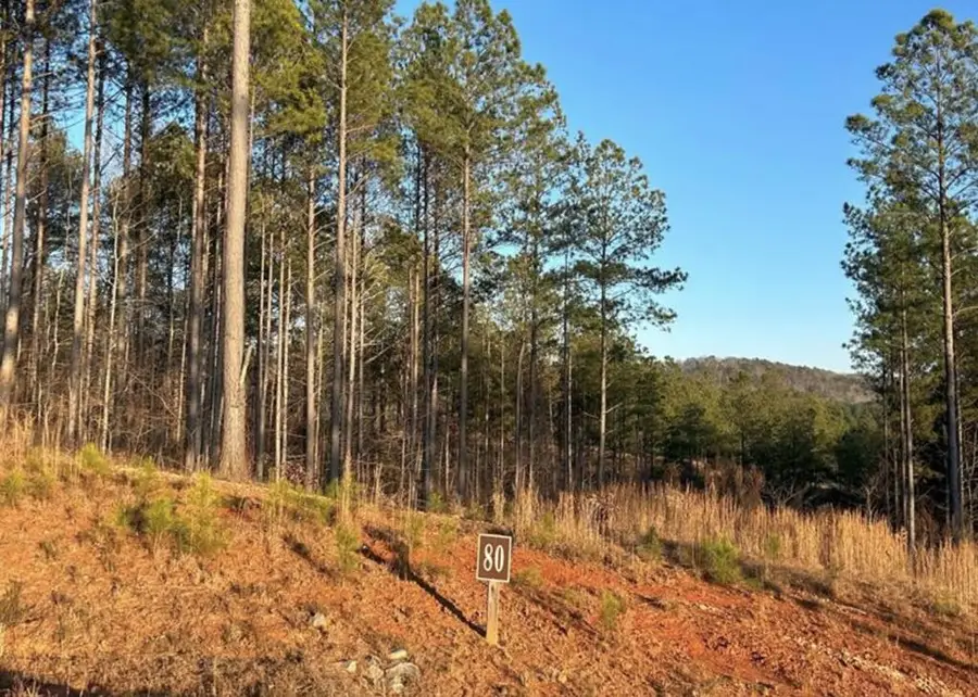 Lot 80 Seven Mile Creek Road, Talking Rock, GA 30175 - #2