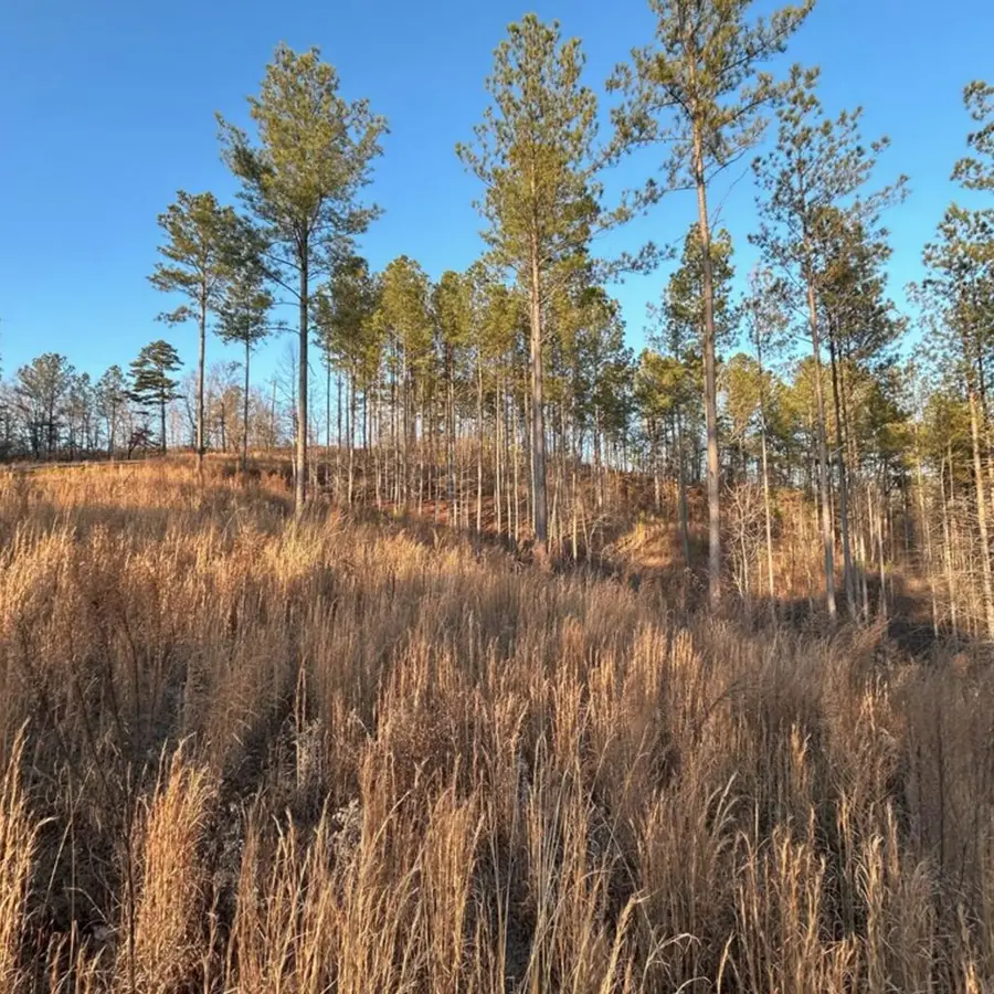 Lot 80 Seven Mile Creek Road, Talking Rock, GA 30175 - #3
