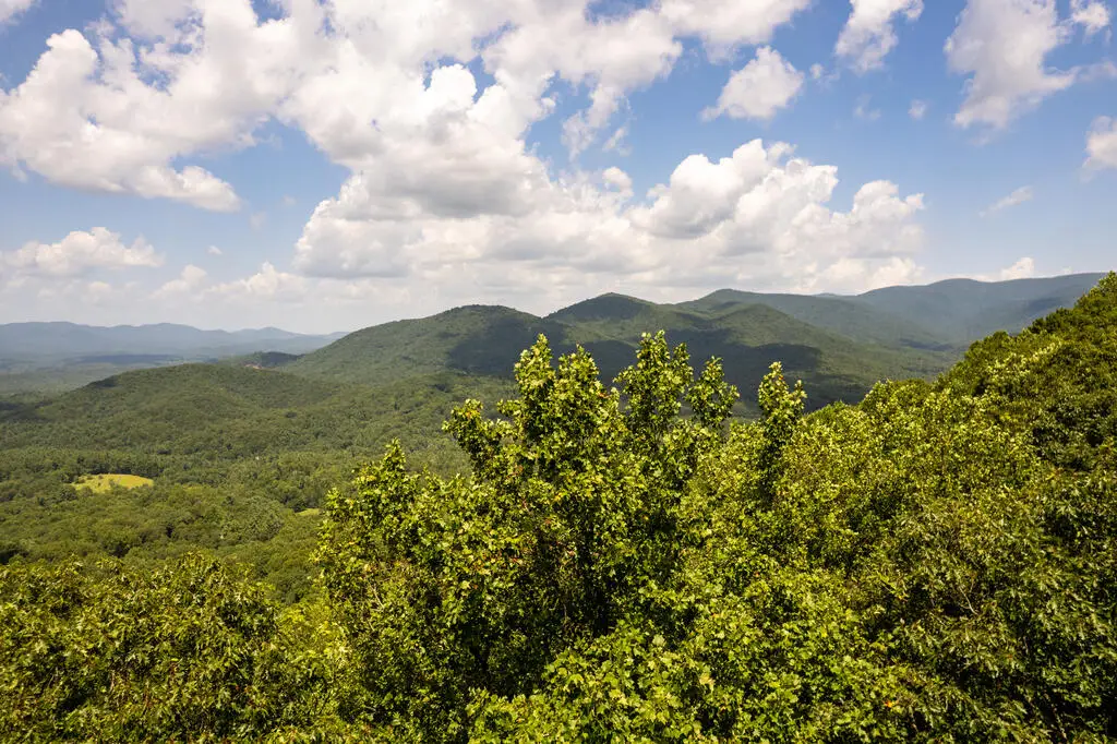 LT M177 Walnut Ridge, Ellijay, GA 30536 - #1
