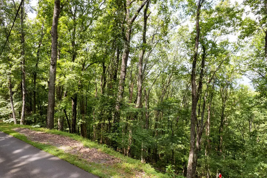 LT M177 Walnut Ridge, Ellijay, GA 30536 - #3