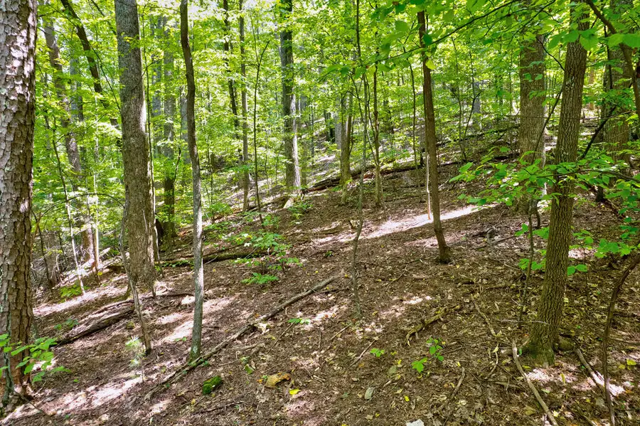 LT J351 Mountain View Court, Ellijay, GA 30536 - #2