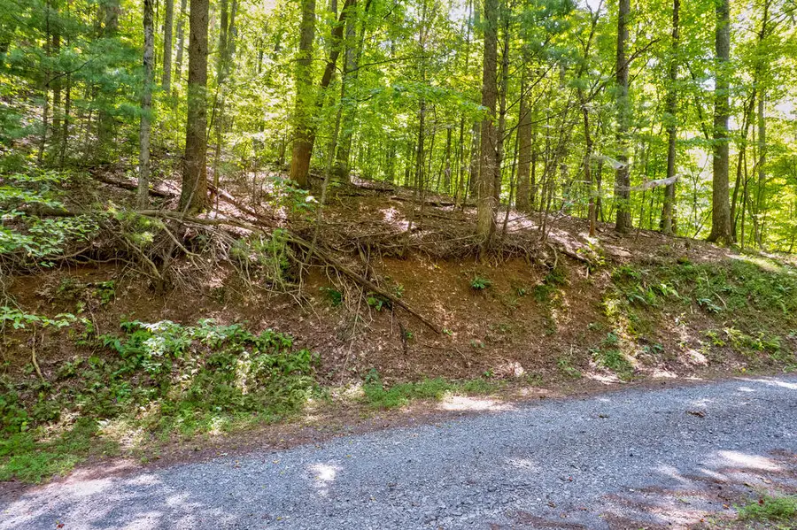 LT J351 Mountain View Court, Ellijay, GA 30536 - #3