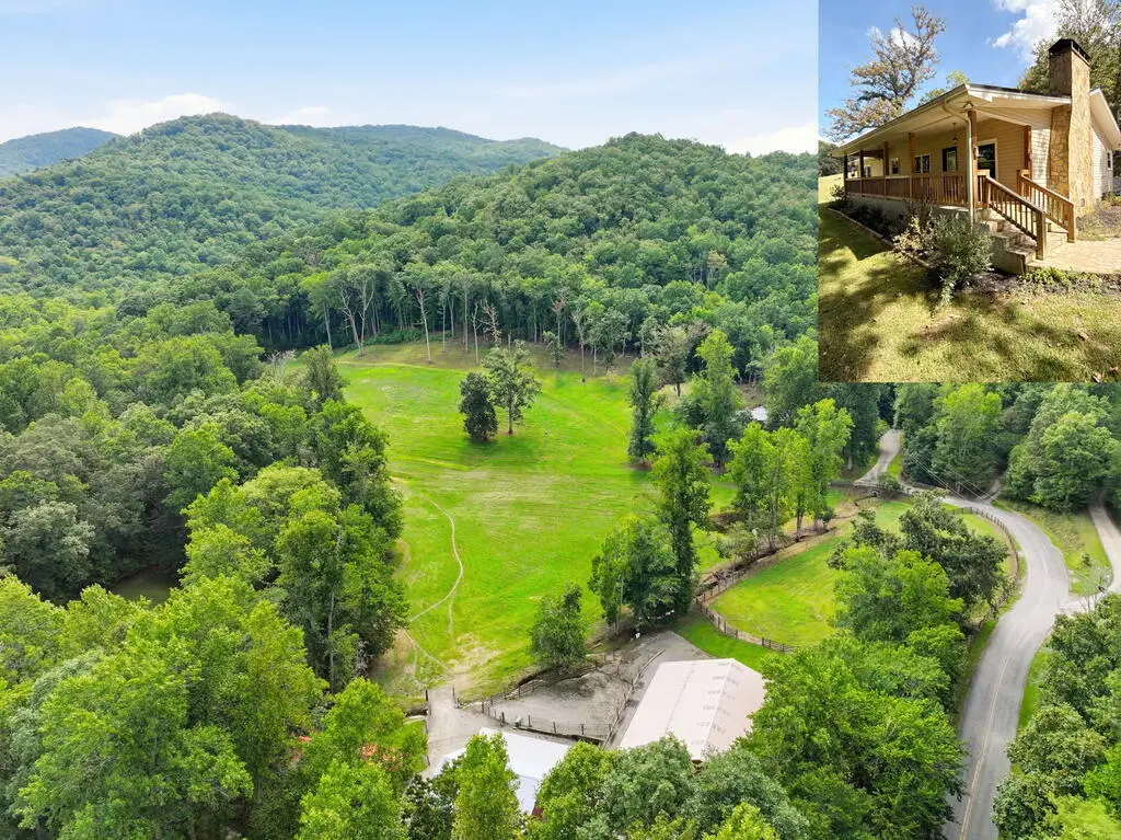 1306 Hot House Road, Hayesville, NC 28904 - #1