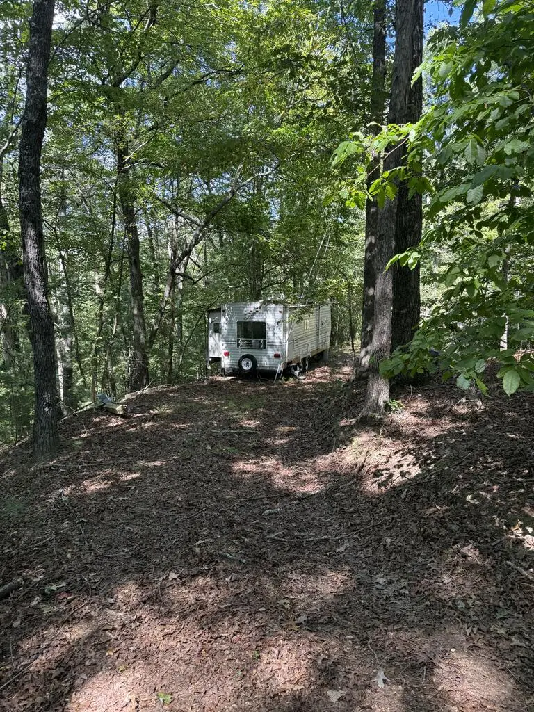 TR 13 Southern Pines Drive, Ellijay, GA 30540 - #1