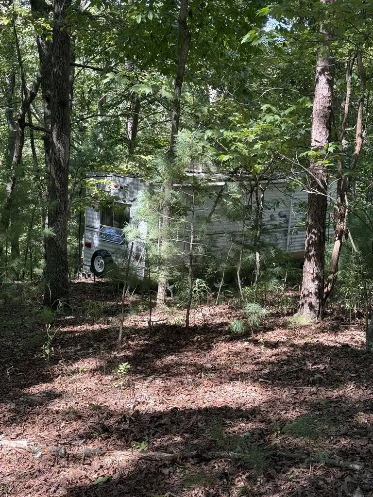 TR 13 Southern Pines Drive, Ellijay, GA 30540 - #3