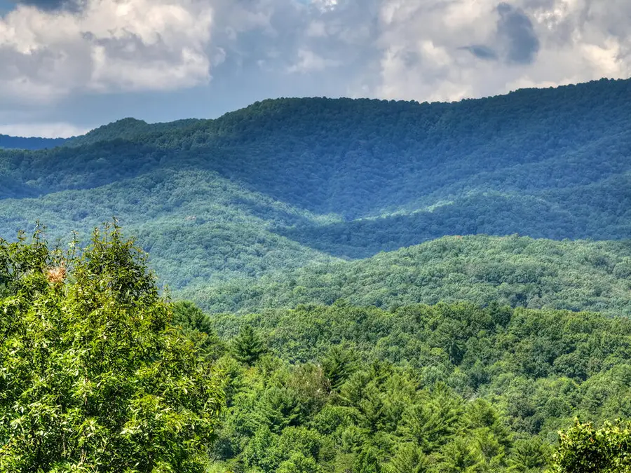606 Cohutta Mountain Road, Cherry Log, GA 30522 - #2