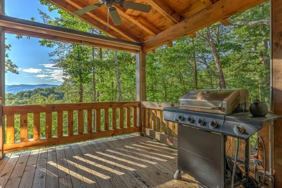 20 Smith Hill Road, Blue Ridge, GA 30513 - #2