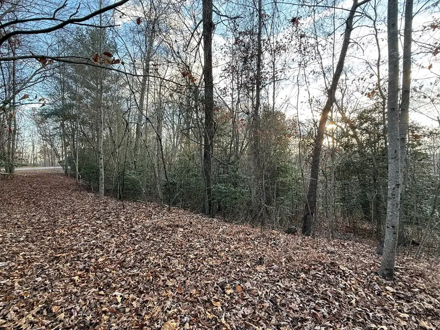 28/32 Stuart Ridge Road, Mineral Bluff, GA 30559 - #2