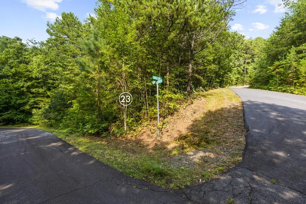 lot 23 Timber Lane Court, Turtletown, TN 37391 - #1
