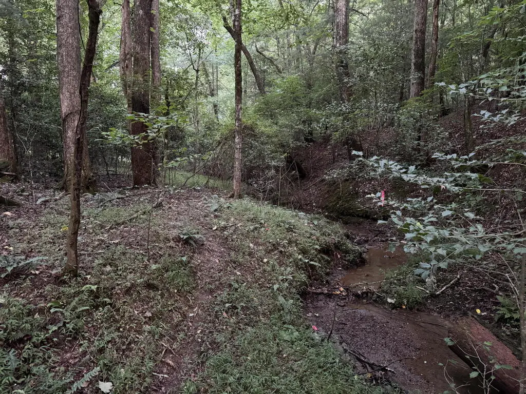 LT35 TR2 Scenic Drive, Hayesville, NC 28904 - #1