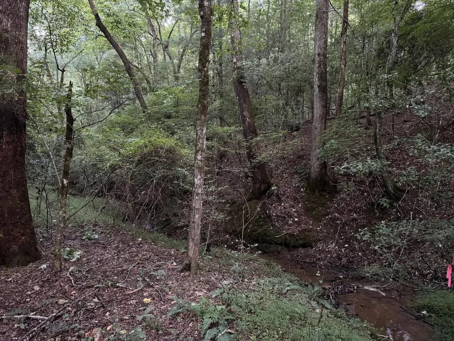 LT35 TR2 Scenic Drive, Hayesville, NC 28904 - #2