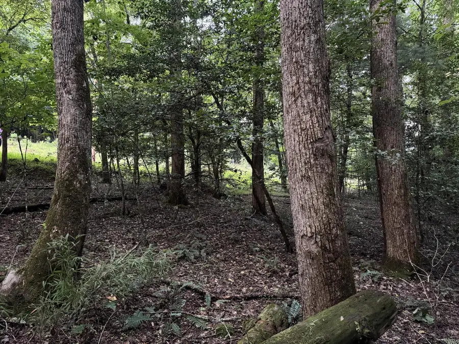 LT35 TR2 Scenic Drive, Hayesville, NC 28904 - #3