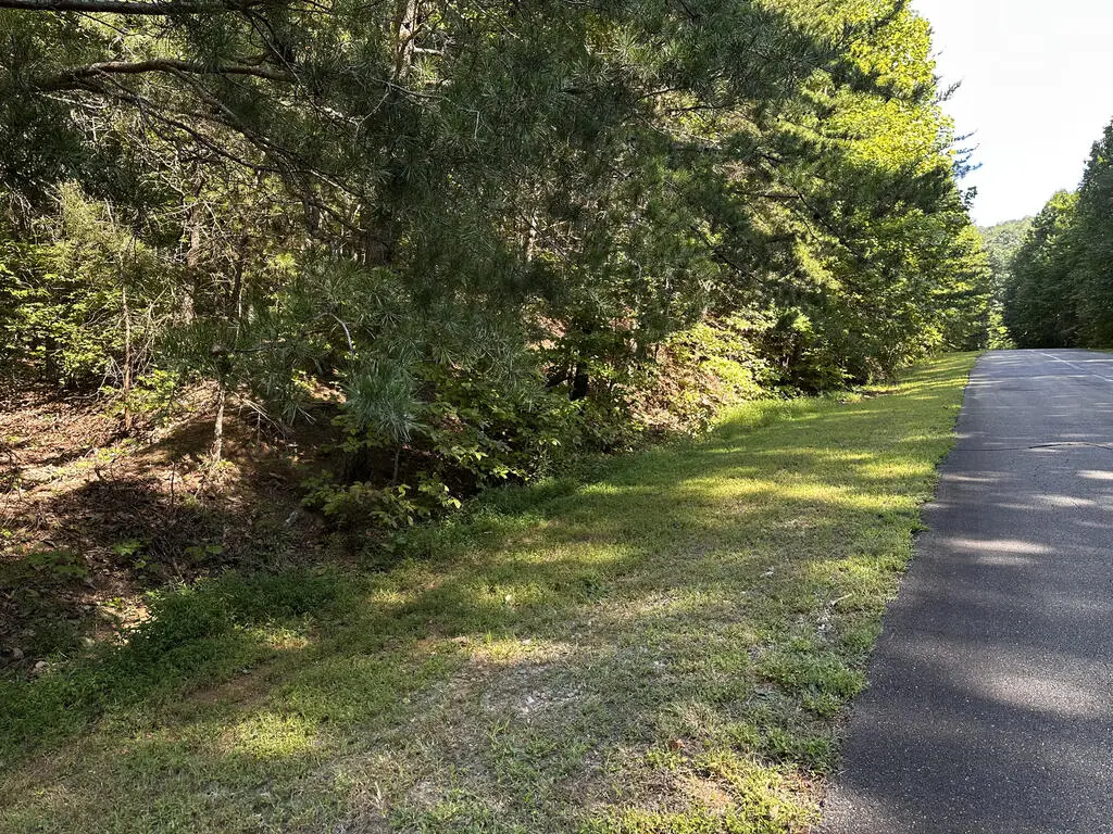 50 St Andrews Way, Ellijay, GA 30536 - #1