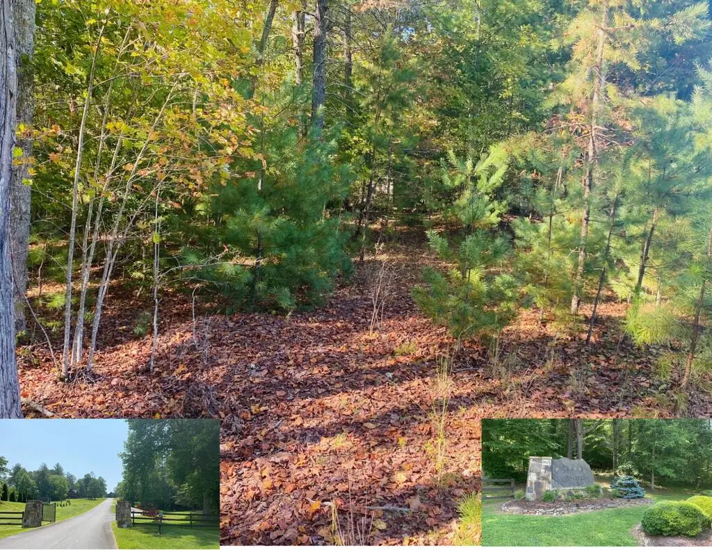 0 Point Overlook Trail, Murphy, NC 28906 - #1