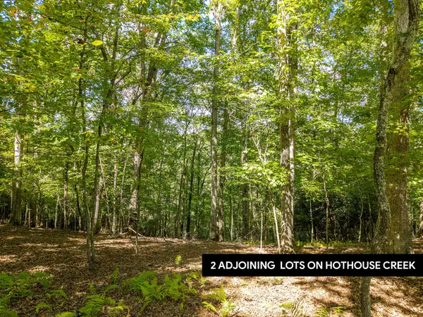 LT 27/28 Donna Lee Lane, Mineral Bluff, GA 30559