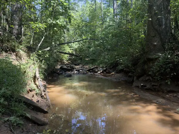 LT 32 Mission Hill Rd, Ellijay, GA 30540